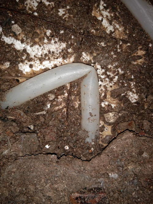 汪清堵点精准查找